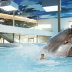 Kinder und Jugendliche rutschen erheitert auf Wasserrutsche in der Therme Wien.